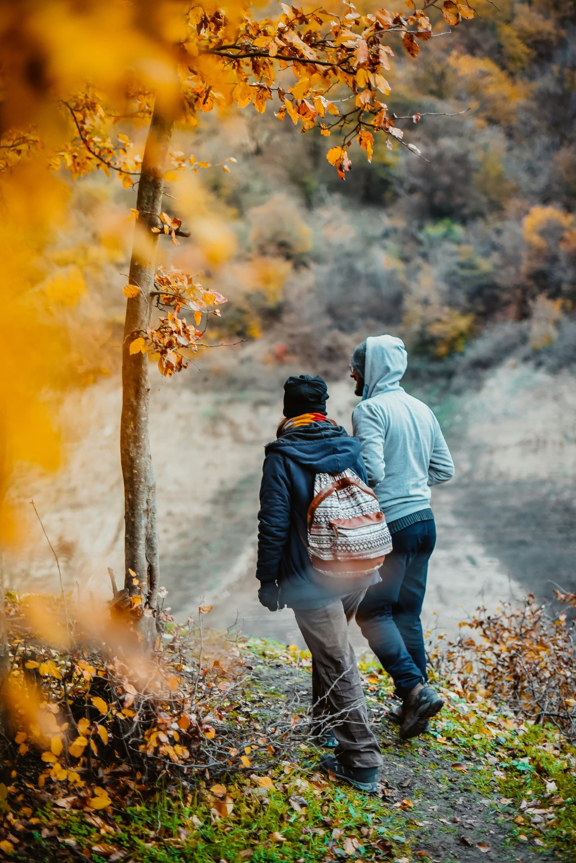 Proposal Package — Central Park pedicab tour